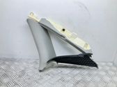 (C) pillar trim