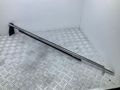 Front door glass trim molding