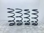 Front coil spring