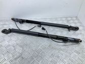 Tailgate/trunk strut/damper