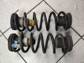 Rear coil spring