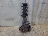 Rear shock absorber with coil spring