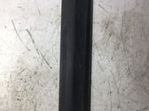 Moulure de porte arrière