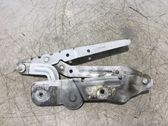 Engine bonnet/hood hinges