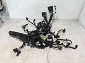 Faisceau de câblage pour moteur
