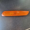 Front fender indicator light