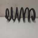 Front coil spring