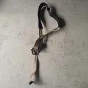 Other wiring loom