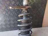 Front shock absorber with coil spring