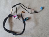Front door wiring loom