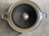 Panel speaker