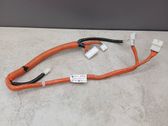 Other wiring loom