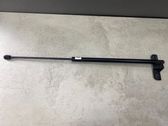 Tailgate/trunk strut/damper