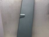(B) pillar trim (bottom)
