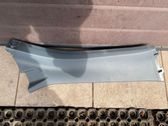 (C) pillar trim