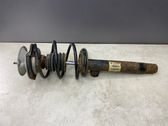 Front shock absorber with coil spring