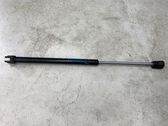 Tailgate/trunk strut/damper