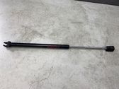 Tailgate/trunk strut/damper