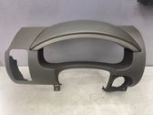 Dashboard trim