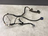 Rear door wiring loom