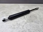 Tailgate/trunk strut/damper