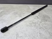 Tailgate/trunk strut/damper