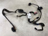Rear door wiring loom