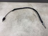 Ignition lock cable