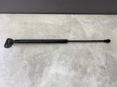 Tailgate/trunk strut/damper