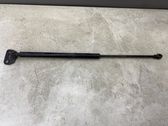Tailgate/trunk strut/damper