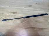 Tailgate/trunk strut/damper
