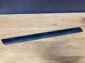 Rear door trim (molding)