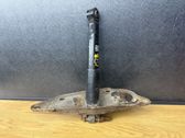 Rear shock absorber/damper