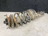 Front shock absorber with coil spring