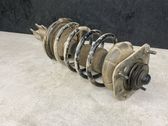 Front shock absorber with coil spring