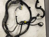 Wires (generator/alternator)