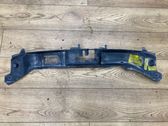 Radiator trim