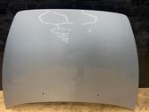 Engine bonnet/hood