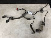 Rear door wiring loom