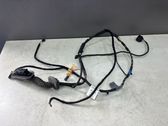 Front door wiring loom