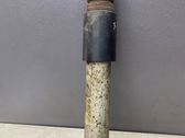 Rear shock absorber/damper