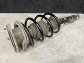 Front shock absorber with coil spring