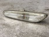 Front fender indicator light