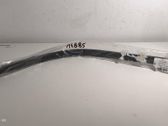 Trunk rubber seal (body)