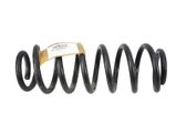 Rear coil spring