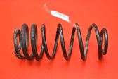 Rear coil spring