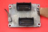 Engine control unit/module ECU