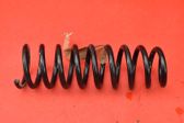 Rear coil spring