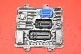 Engine control unit/module ECU