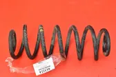 Rear coil spring